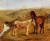 A Horse And Donkey In A Hilly Landscape